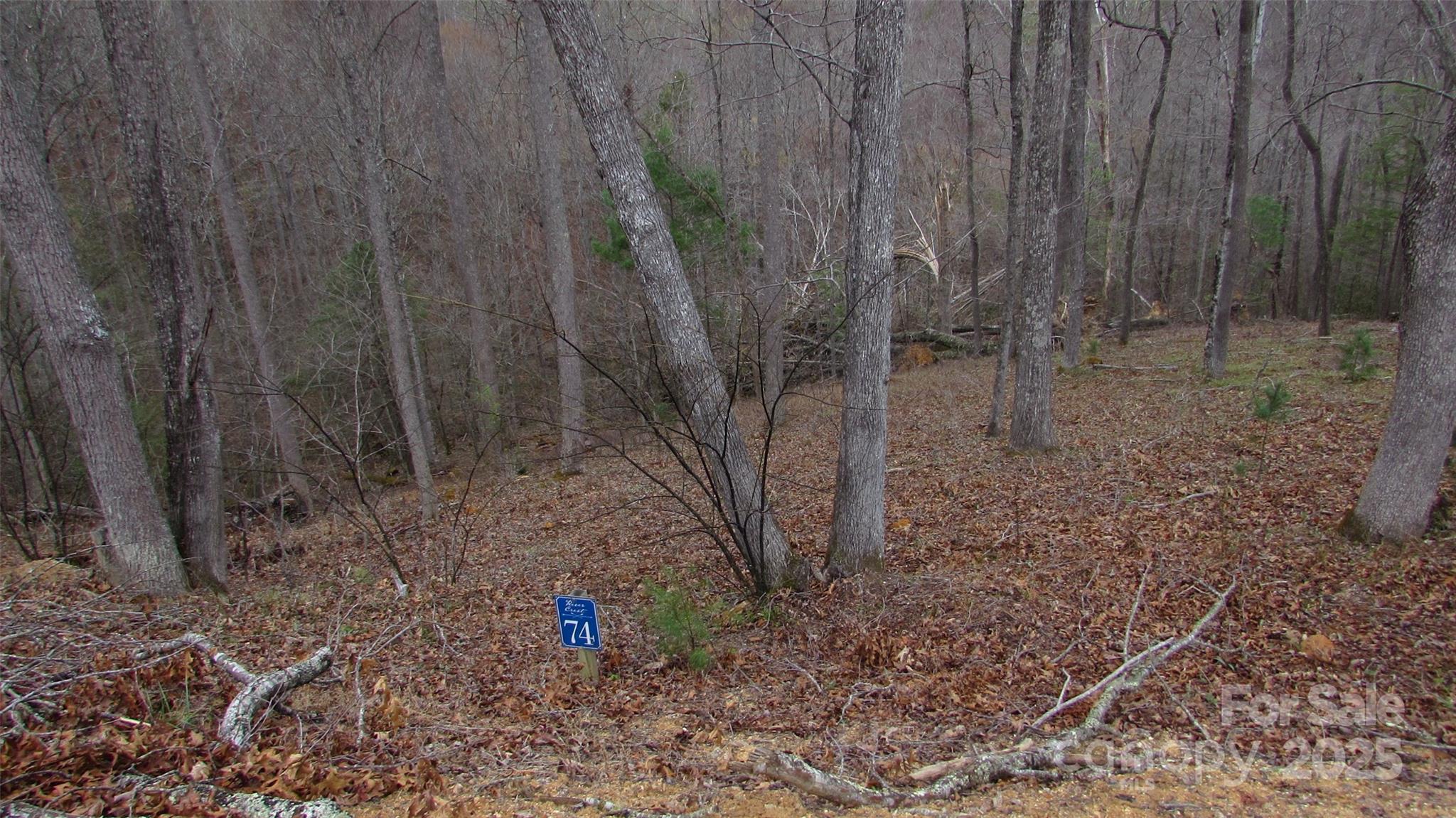 #74 Falling Water Drive