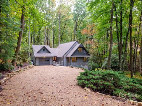 77 Selu Court Brevard NC 28712