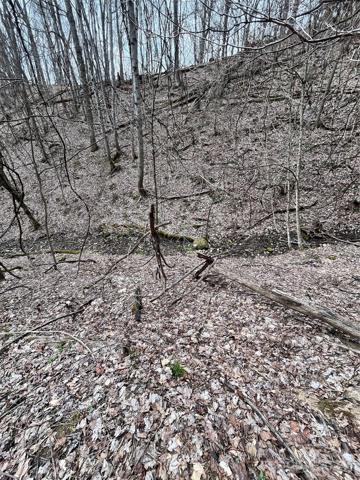 Shoot Out Mountain - Land