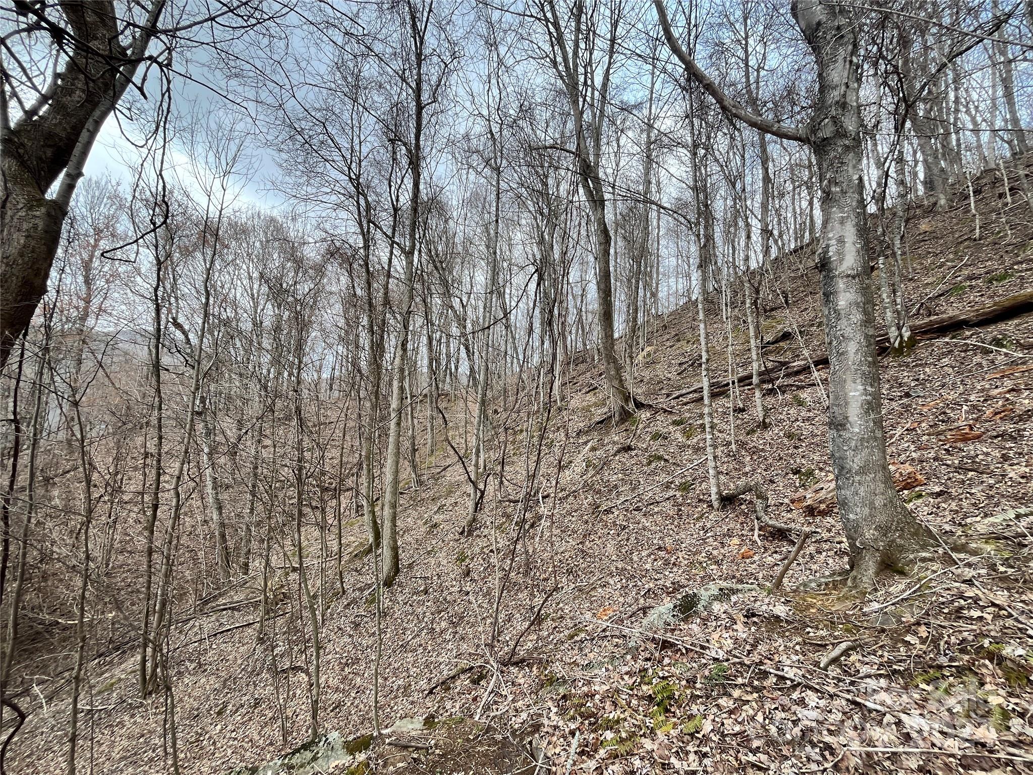 Shoot Out Mountain - Land