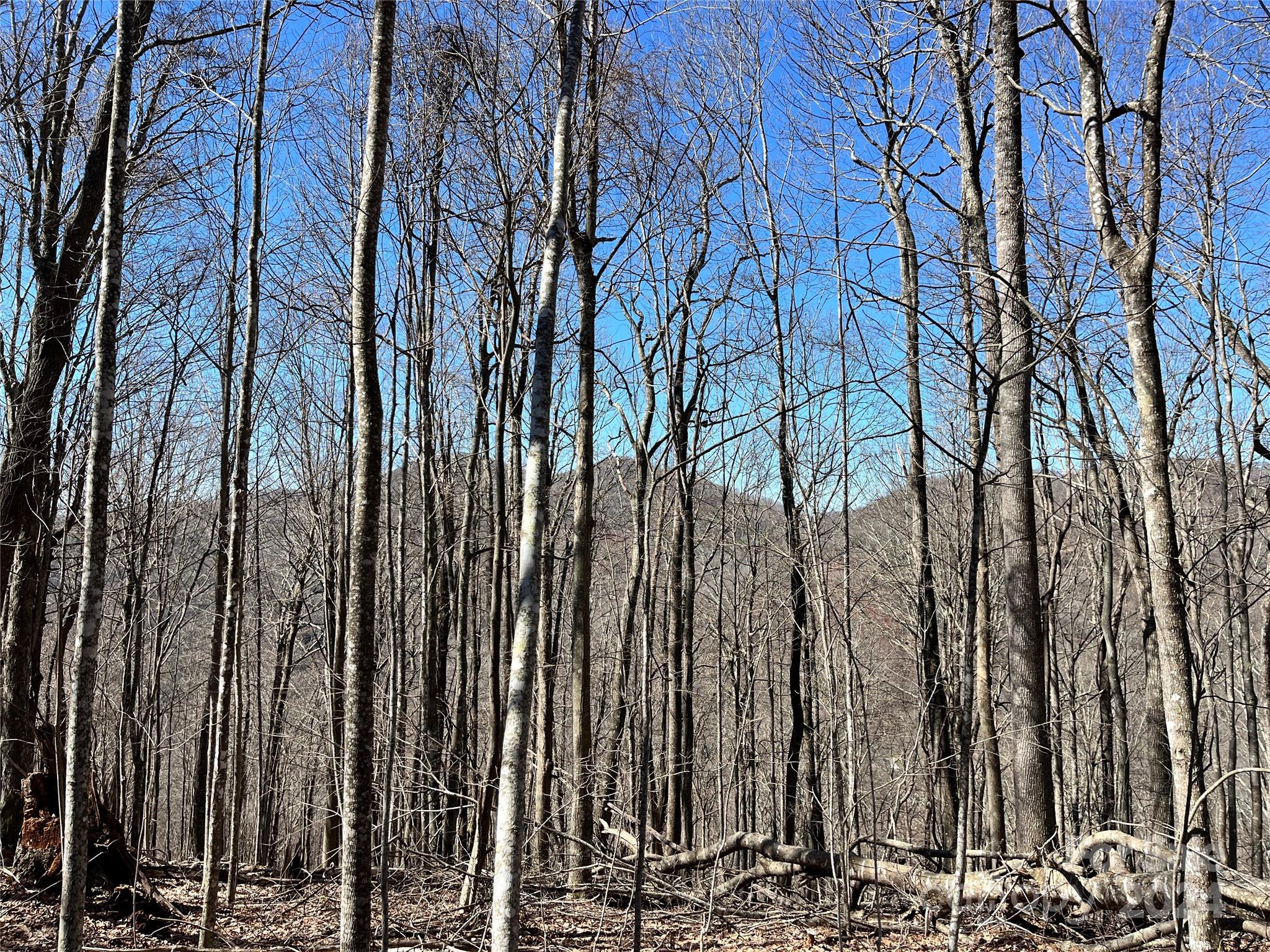 Shoot Out Mountain - Land