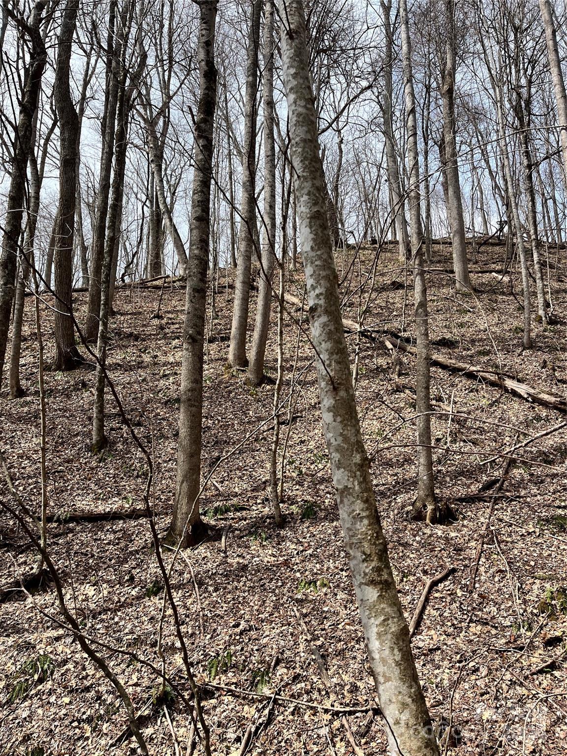 Shoot Out Mountain - Land