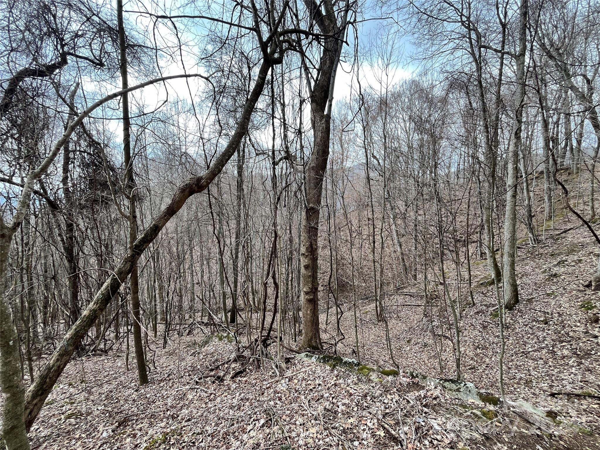 Shoot Out Mountain - Land