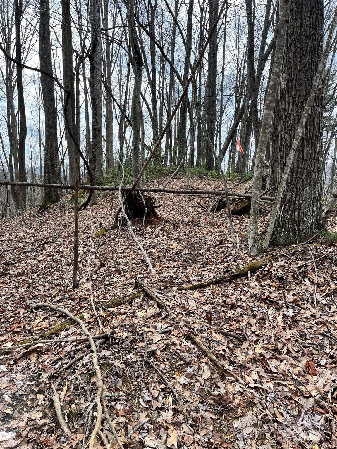 Shoot Out Mountain - Land