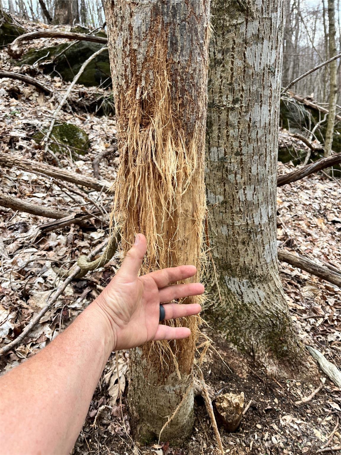 Shoot Out Mountain - Land