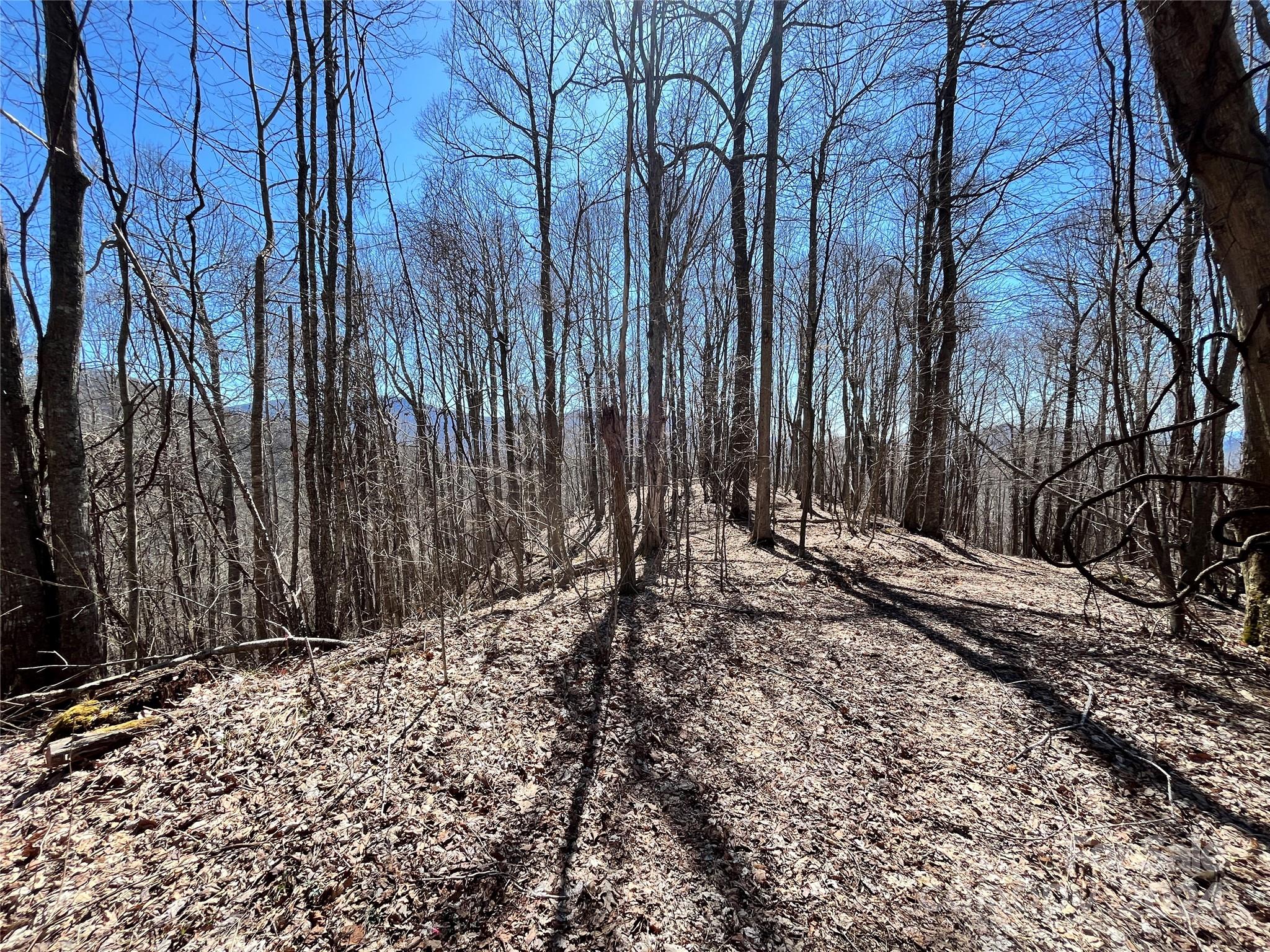 Shoot Out Mountain - Land