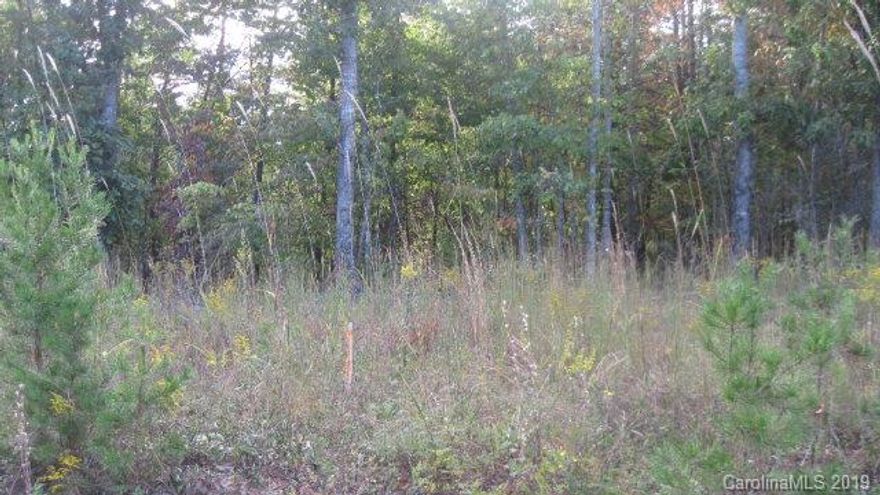 The property has been recently surveyed and property lines are marked.   The property is wooded, fairly level and would be suitable for development.   Seller is willing to sub-divide.