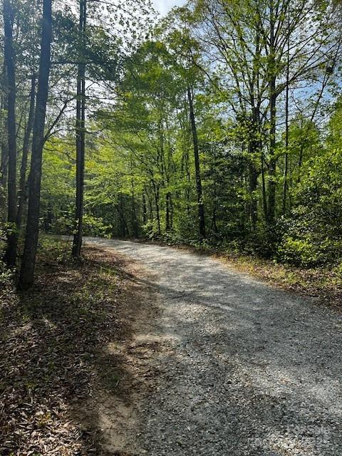 663 Landrum Road