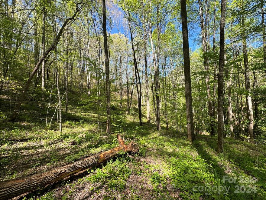 This is a rare find in Nantahala Gorge- useable creekside acreage just minutes from NOC and other attractions. This property is fronted by Nantahala National Forest, with huge views of the upper ridges on Silvermine and Wesser Creek. It has a house site in place, and a shallow, rolling hillside up to the ridge. There are several options for getting longer range or different views. Build with minimal excavating or go for the upper areas and southerly views of upper Silvermine. This is a super secluded end-of-road spot, with easy access from Hwy 74 at NOC. It is a short drive to Fontana Lake, Cardinal Coffee, and Bryson City attractions.