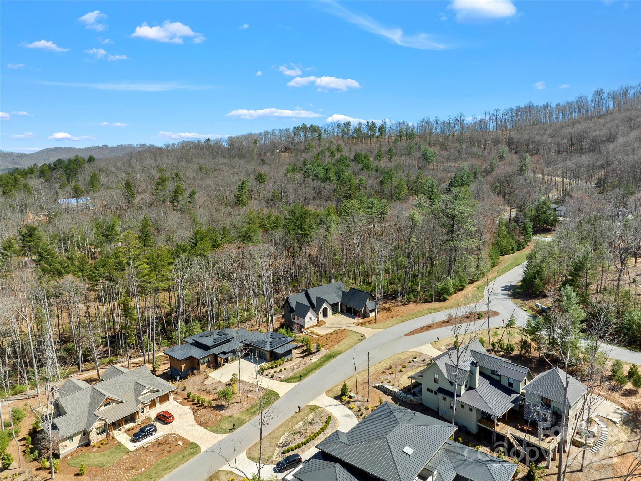 Ramble Biltmore Forest - Residential