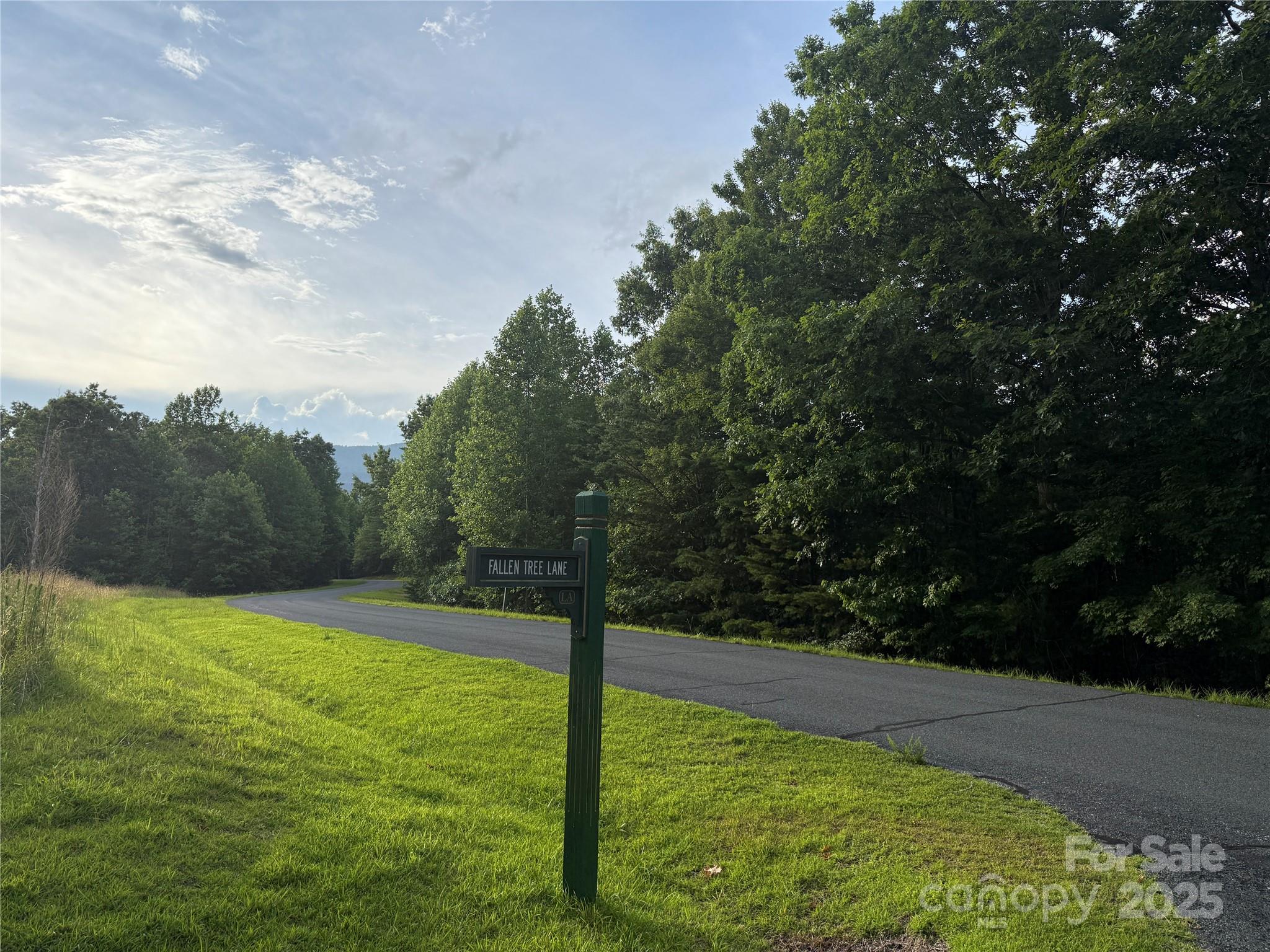 Lot 19 Fallen Tree Lane 19