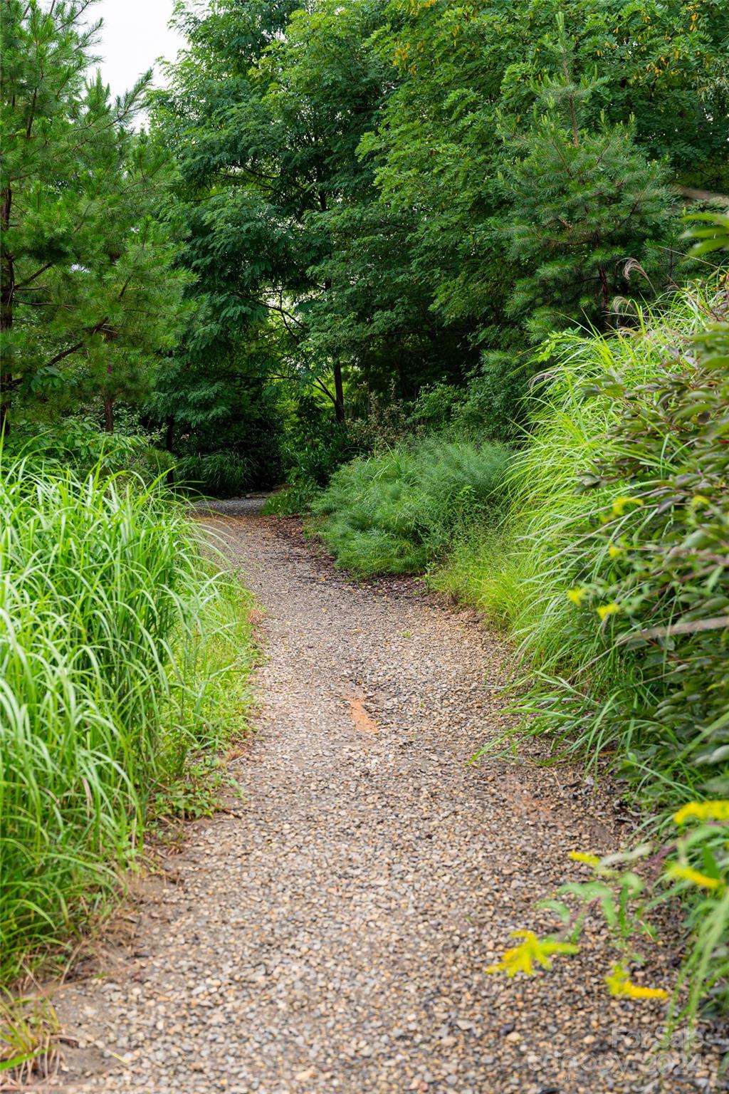 Thoms Estate - Residential