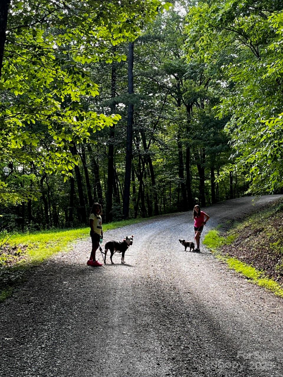 Bryson City, North Carolina 28713, United States, 4 Bedrooms Bedrooms, ,3 BathroomsBathrooms,Residential,Active,30760