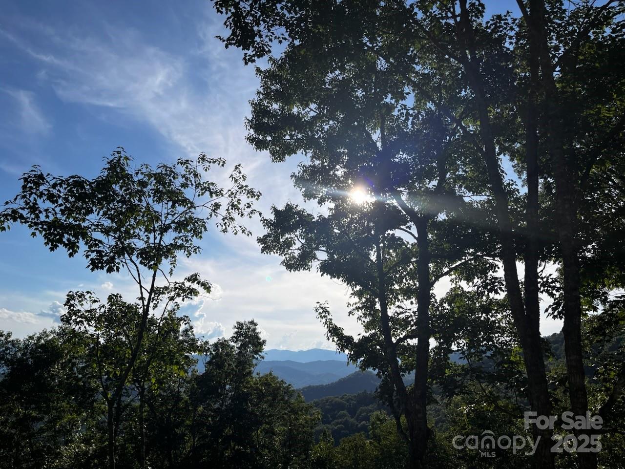 350 Hickory Springs Trail