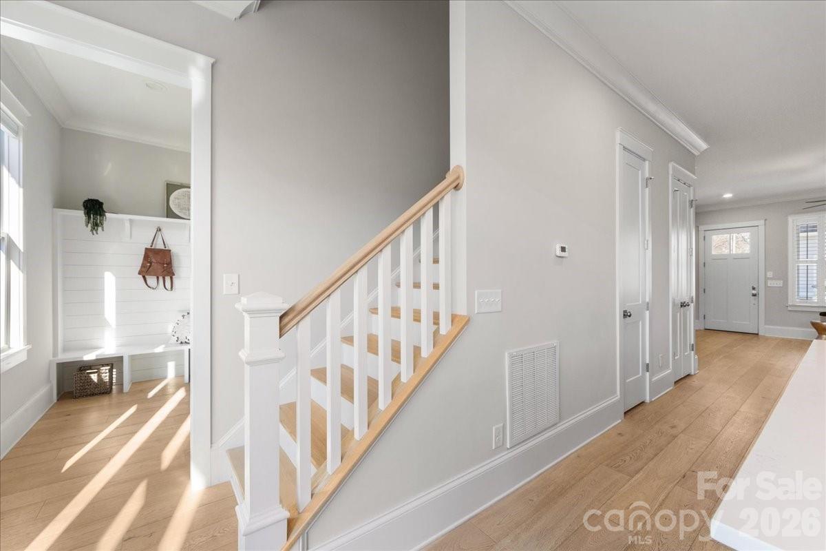 Midwood - Residential