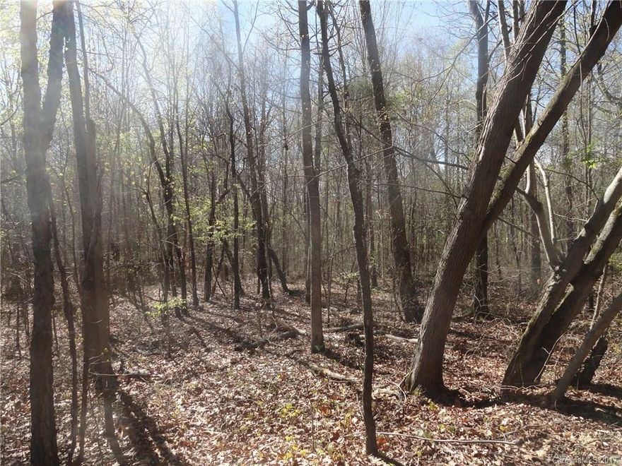 Privacy galore on this 5.5 acres!  Wooded lot with easement off of Lee Moore Road back to the property.  No restrictions! If you build your house on the knoll on the property, you will have a view of Anderson Mountain. Beautiful land that can be cleared easily. Come and build your dream home!