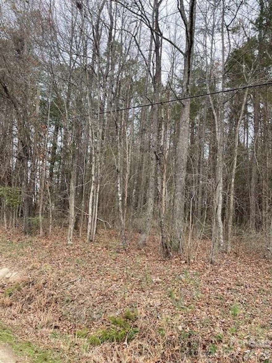 this is a long and suitable for privacy surrounded by trees.  Has been perc for 3 bedroom home