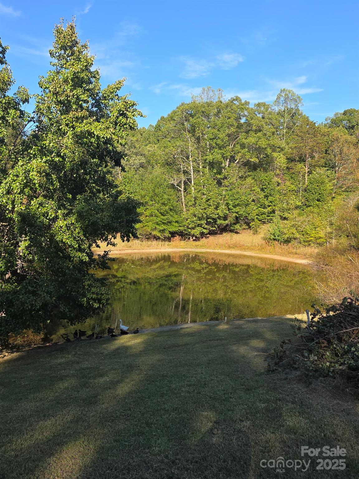 3490 US Hwy Business 220 Highway