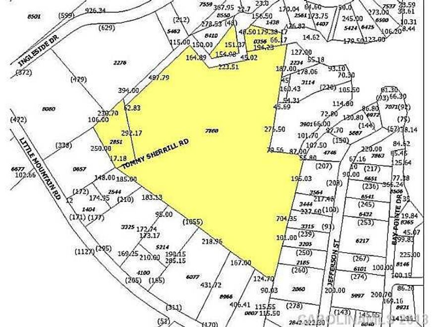 20+ wooded Acres available on Lake Norman! Nice level land with access from 2 streets, excellent for hunting. Property is not dockable but can launch kayak or canoe!