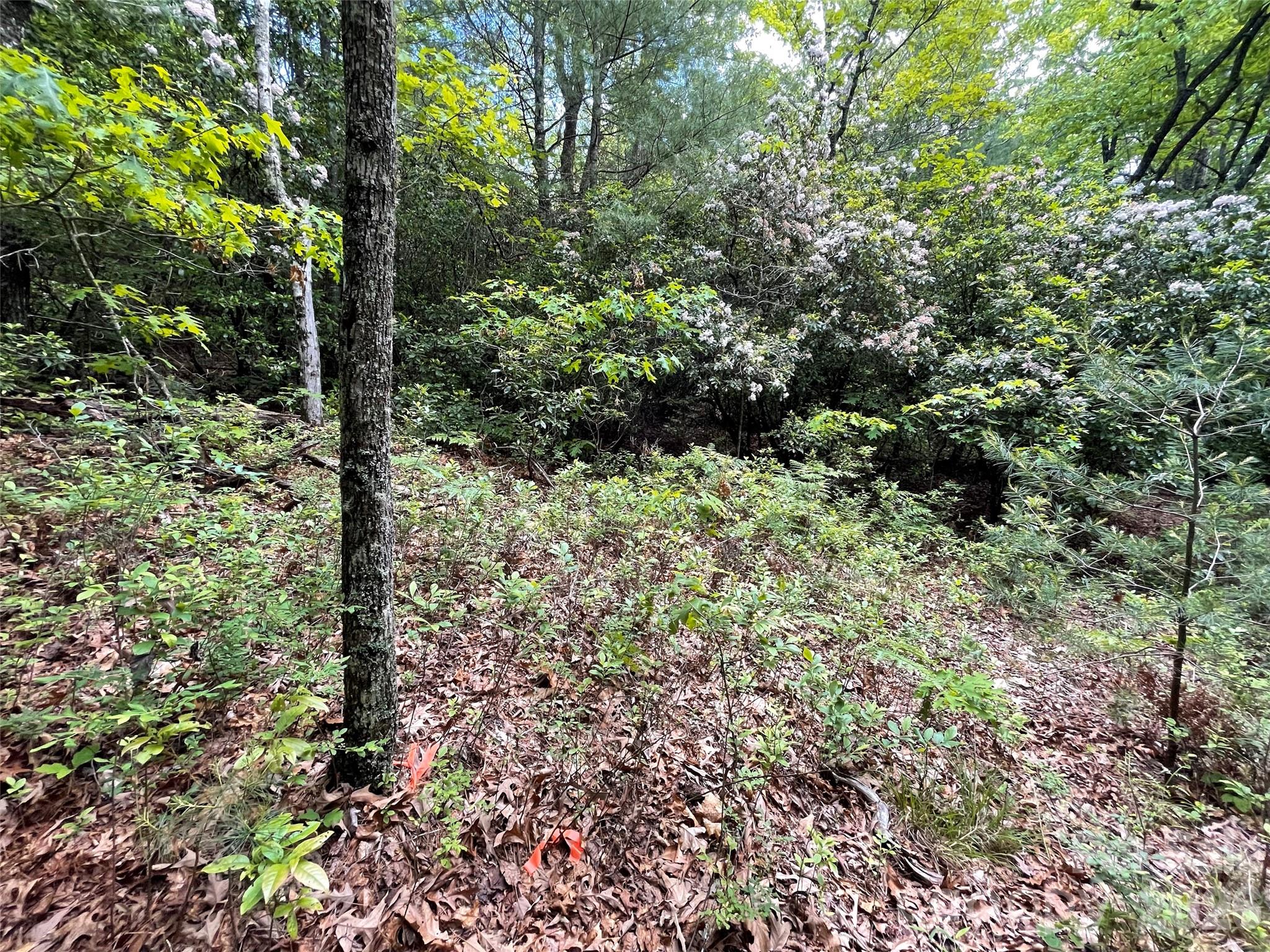 Dogwood Mountain Estates - Land