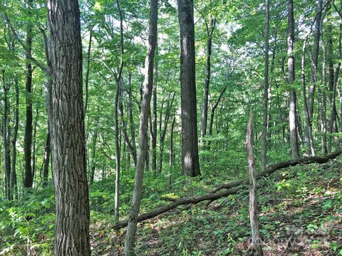 112 & 113 Grouse Road Clyde NC 28721