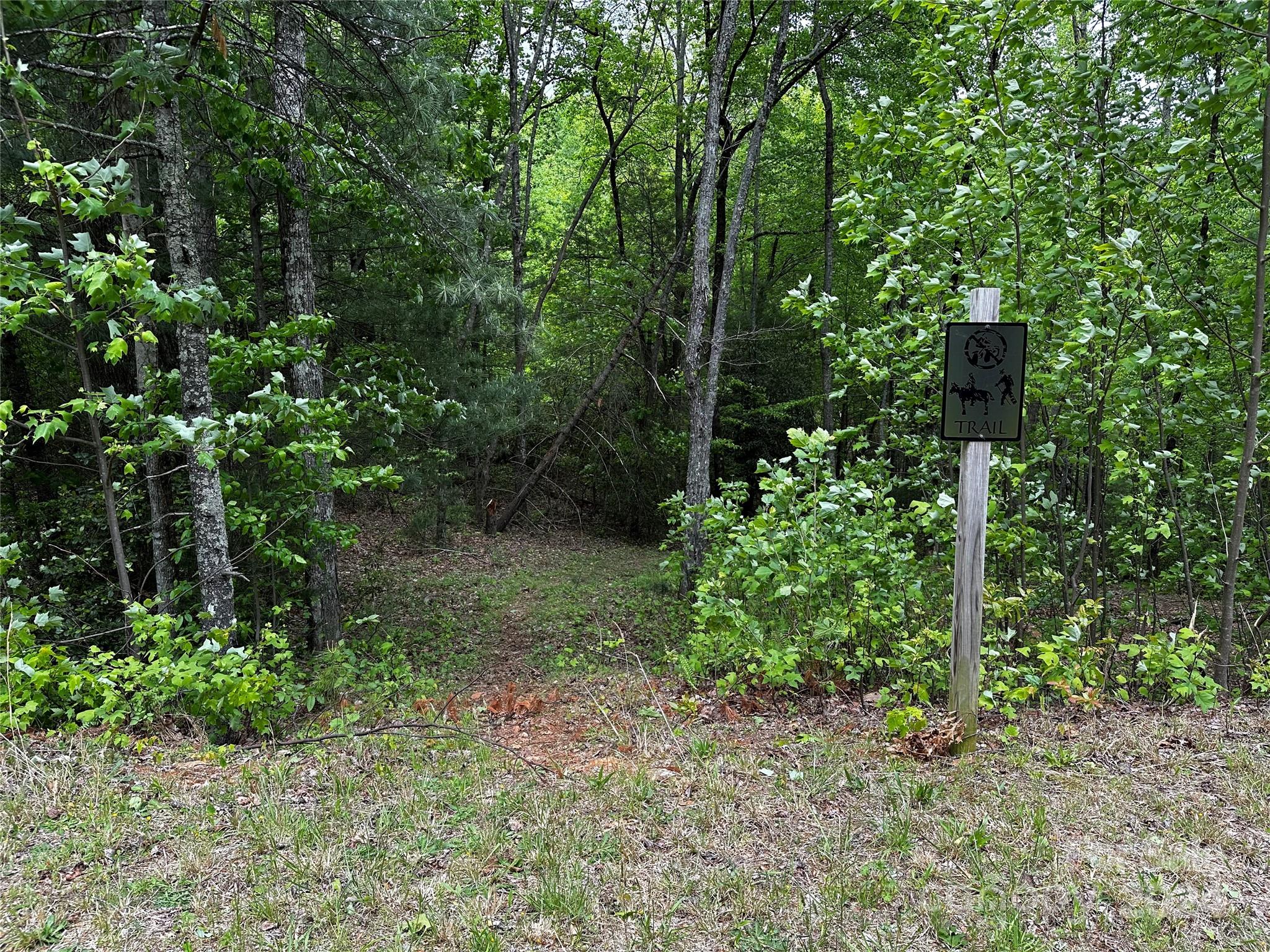 Chestnut Mountain Farms - Land