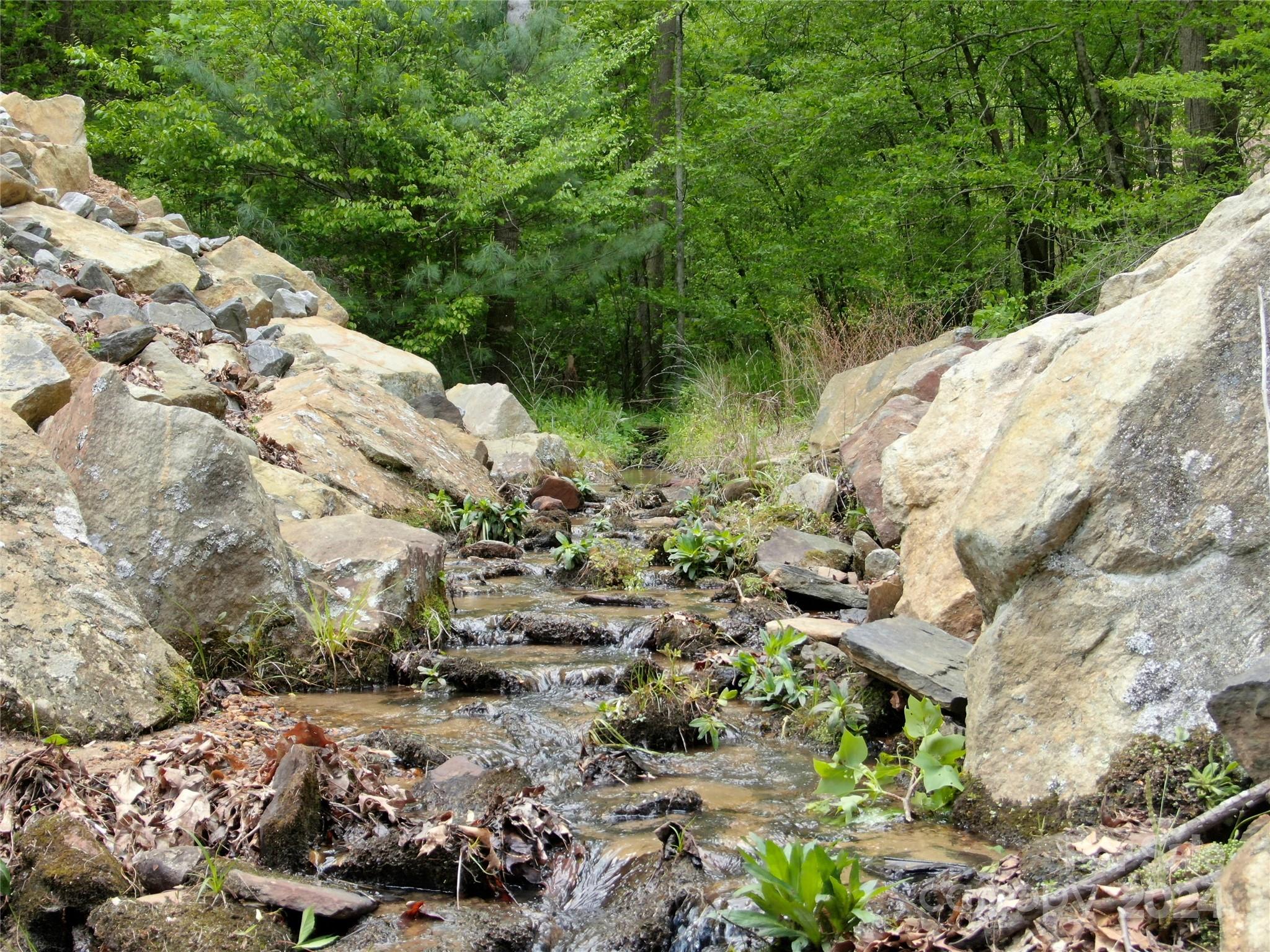 Chestnut Mountain Farms - Land