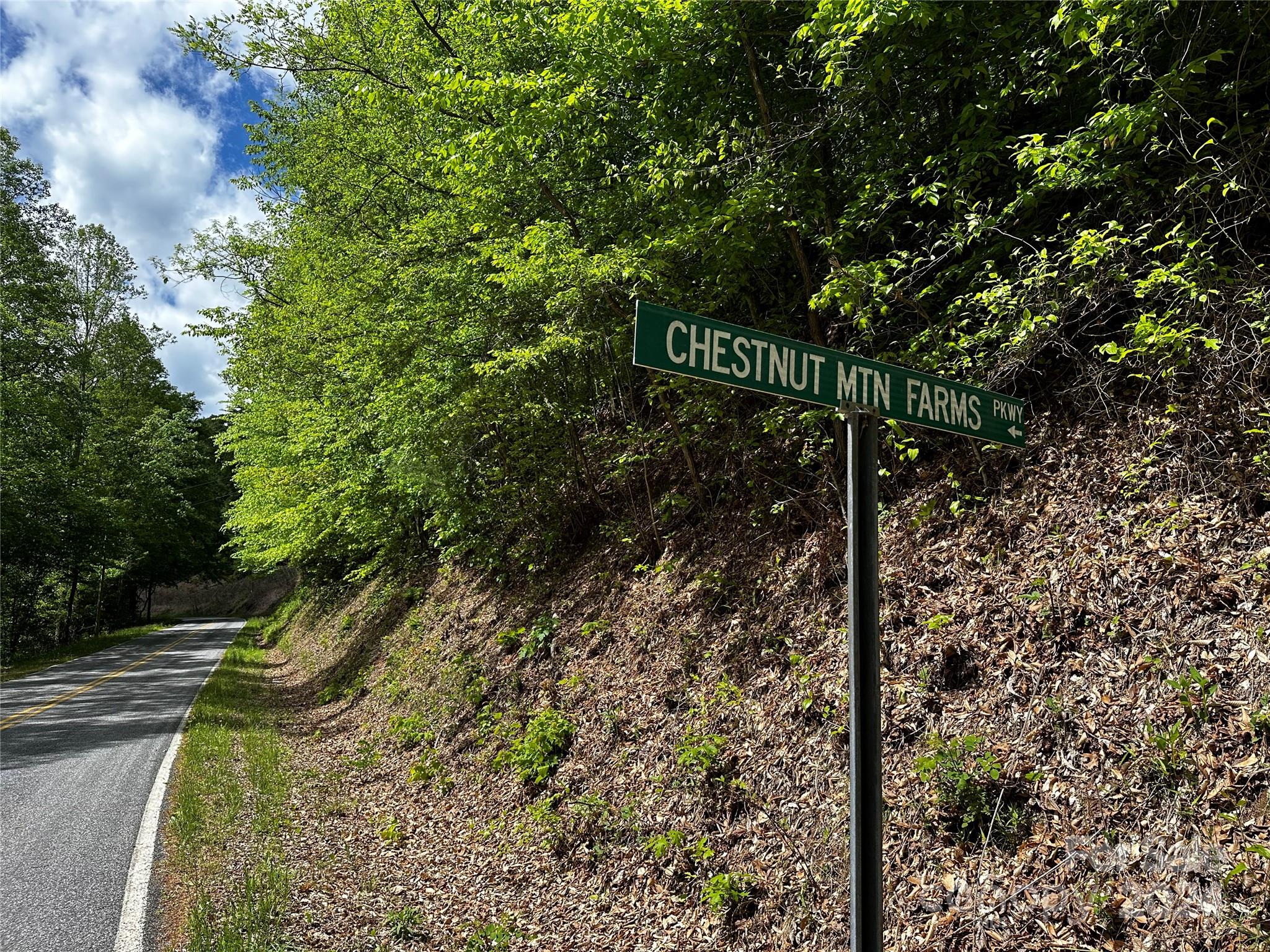 Chestnut Mountain Farms - Land