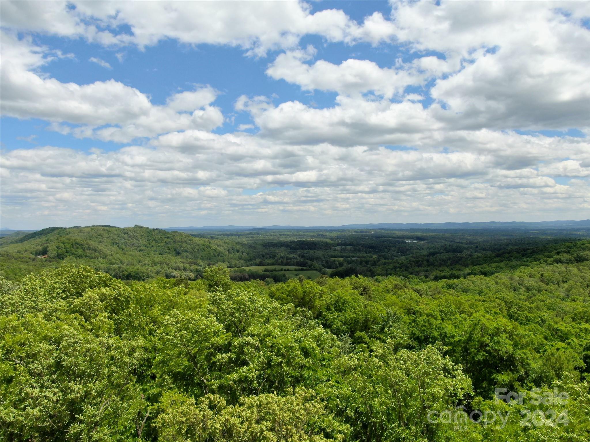 Chestnut Mountain Farms - Land