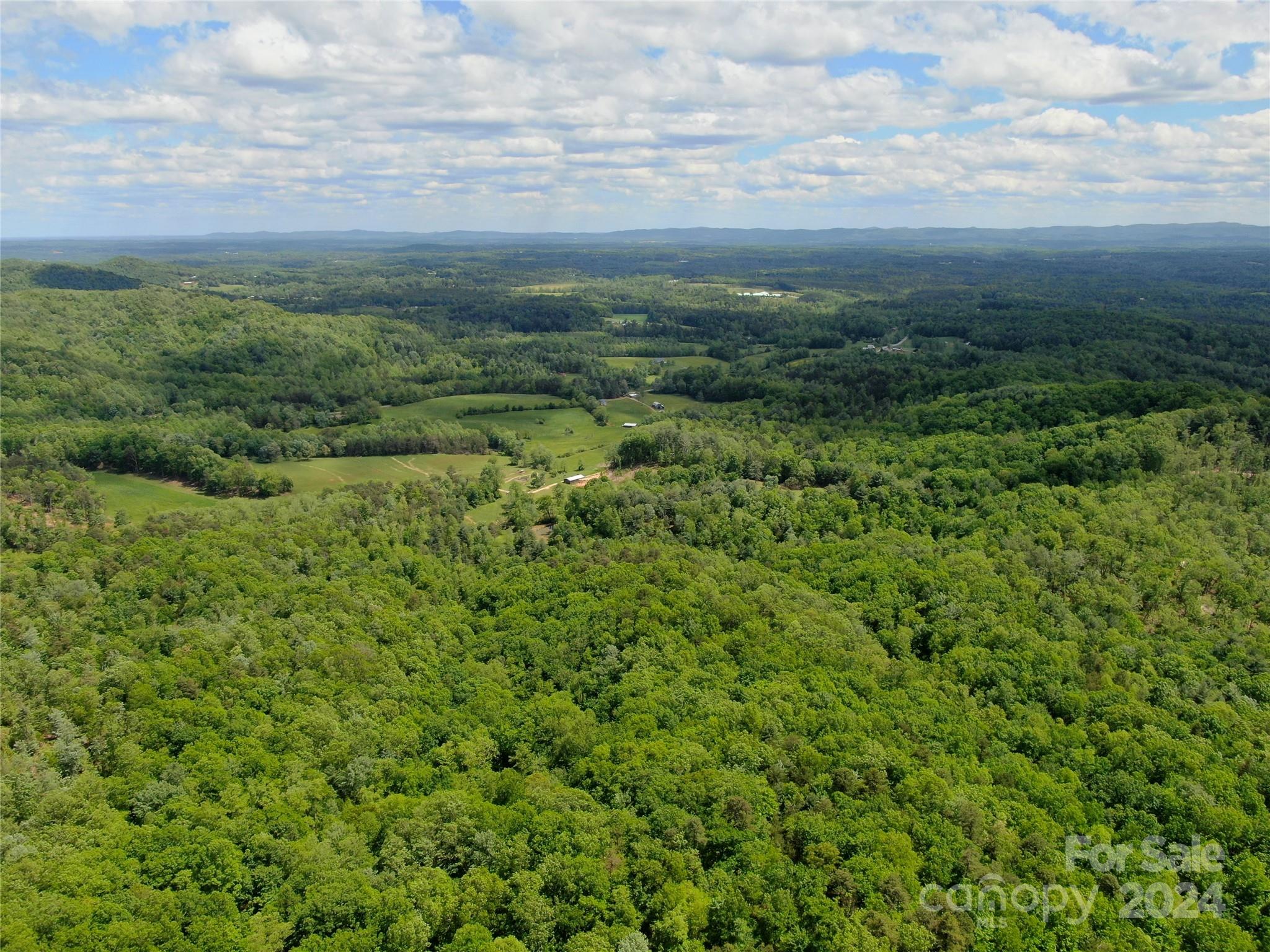 Chestnut Mountain Farms - Land
