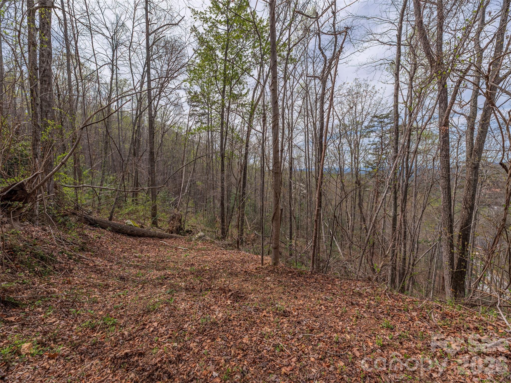 91 & 101 Cedar Mountain Road