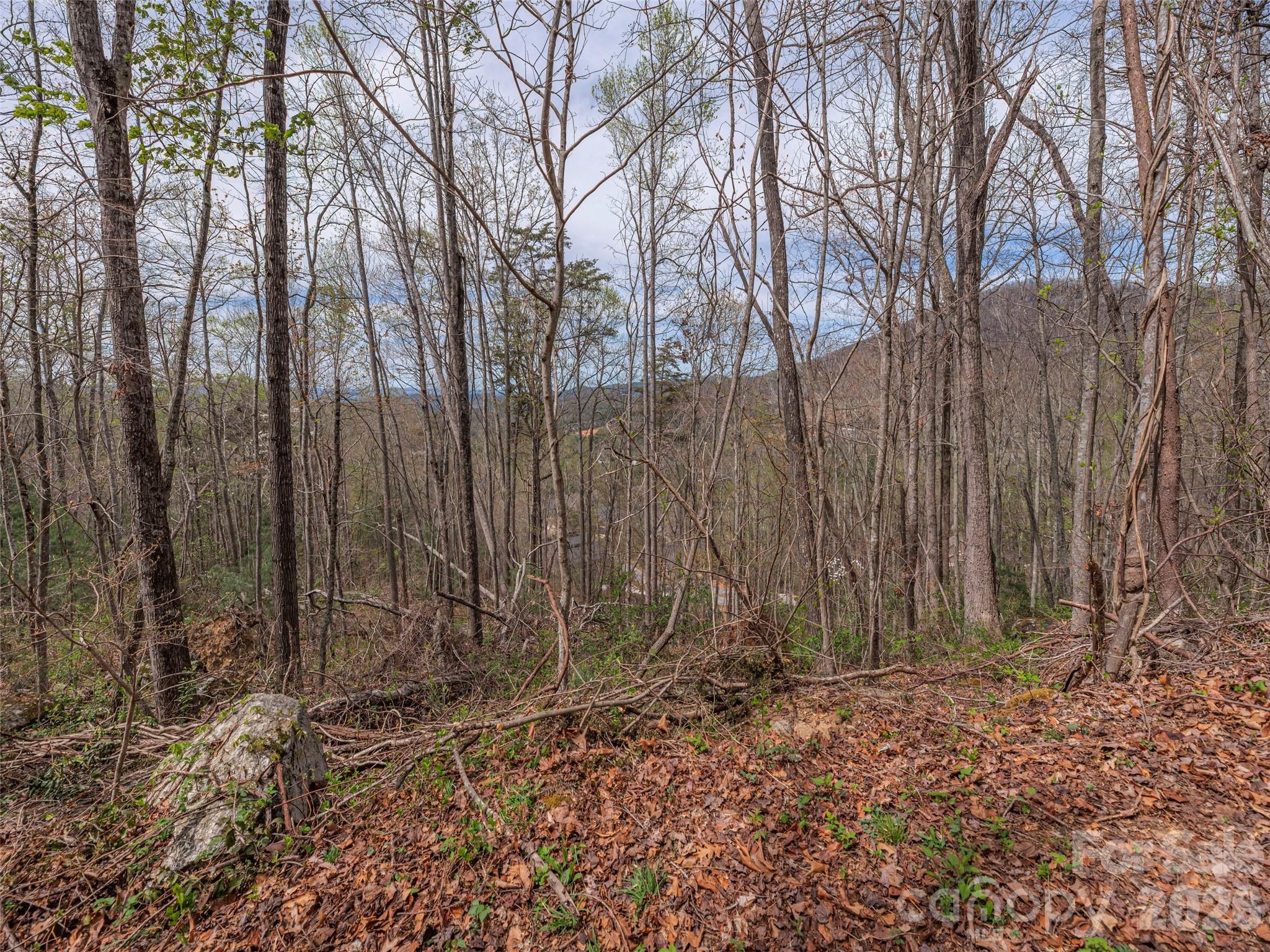 91 & 101 Cedar Mountain Road