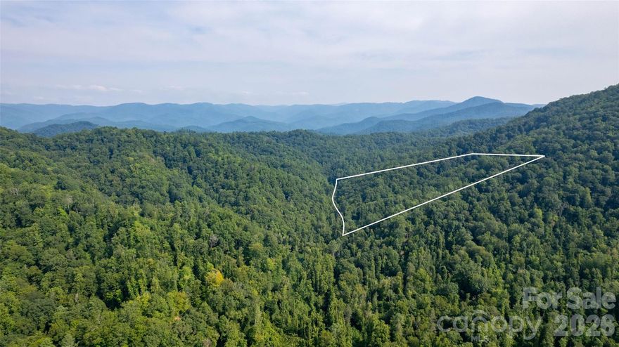 Back on the market at a new lower price! Lot 9 out of 20 recently surveyed parcels. 10.82 UNRESTRICTED acres of natural beauty conveniently located 15 miles from Downtown Blowing Rock and all of it's amenities! With its mountain views, babbling brooks and tranquil atmosphere, this property offers the perfect escape from city life. Embrace the chance to create your own haven amidst the natural splendor of this property. This hidden gem is a true sanctuary, offering a retreat from the digital world allowing you to fully disconnect and enjoy the serenity of your surroundings. Follow the AWD/4WD road (or walk) right to the property line. Property lines are marked. 13 miles from Brown Mountain OHV 34 mile trail system! The only OHV area in Pisgah National Forest. Spectrum cable! Recent road improvements! Call listing agent before driving to property for more information.