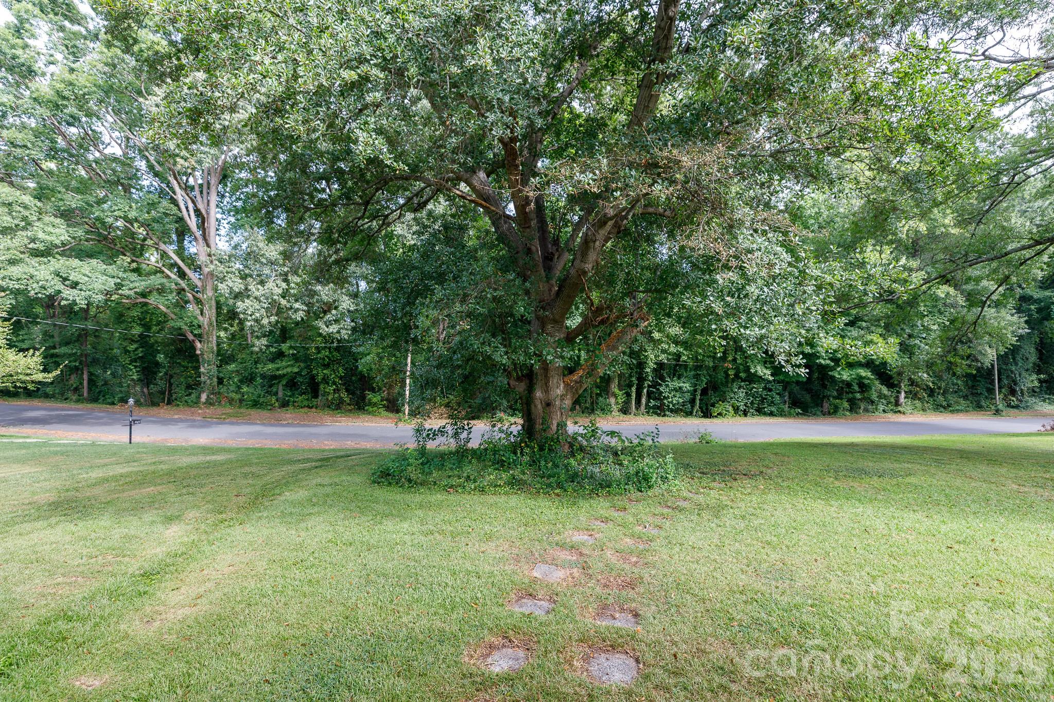 1017 Woodland Drive