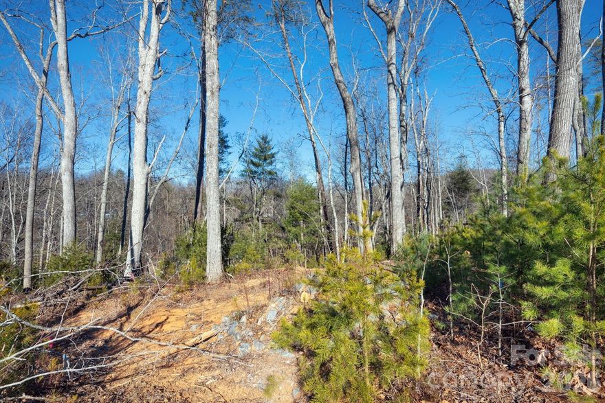 Discover the perfect canvas for your mountain retreat on this gorgeous, gently sloping 0.42-acre lot with short-range views of the craggy mountains in the highly sought-after Riverbend Forest community.
Ideally located just minutes from vibrant downtown Asheville, the Charles George VA Medical Center, Black Mountain, and the scenic Blue Ridge Parkway, this exceptional property offers a rare blend of convenience and tranquility. Enjoy quick access to award-winning dining, unique shopping, quality healthcare, and endless outdoor adventure while coming home to the peaceful beauty of a mountain setting. A Geotechnical Survey and Architectural House Plans are available, providing valuable groundwork to help bring your vision to life and streamline the building process. Don’t miss this opportunity to create your dream home in one of the area’s most desirable communities—where natural beauty and everyday convenience meet in perfect harmony.