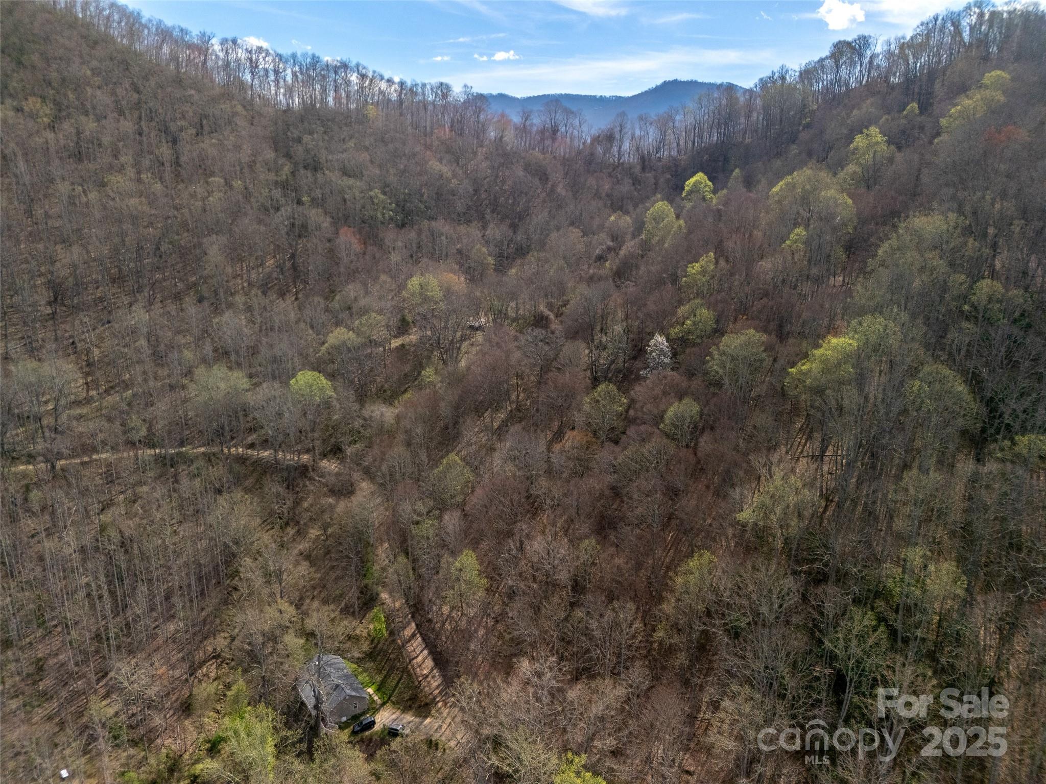 40 acres Charity Lane