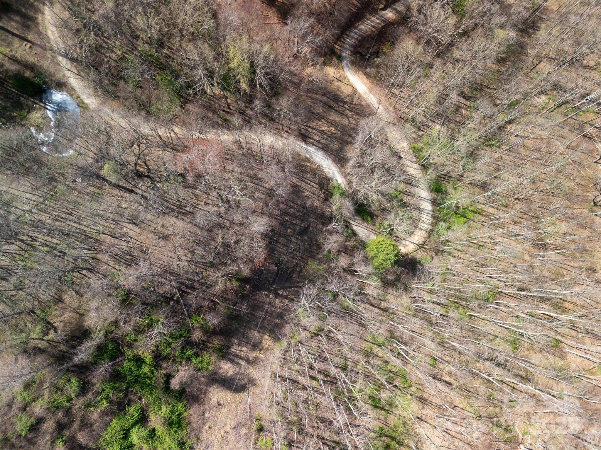 40 acres Charity Lane