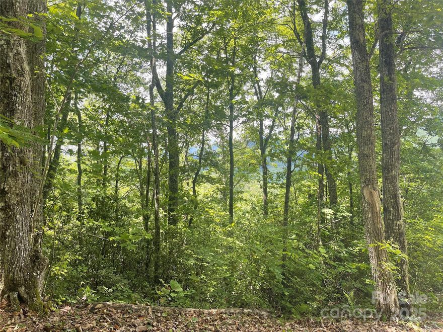 Nothing but beautiful sights and sounds of nature await you just off the infamous "Road to Nowhere". Privacy, just inside the gate that you will own, with year-round views looking directly into the Great Smoky Mountains National Park. Be to the park in a couple minutes, downtown in five! Underground electricity on the property and city water available.