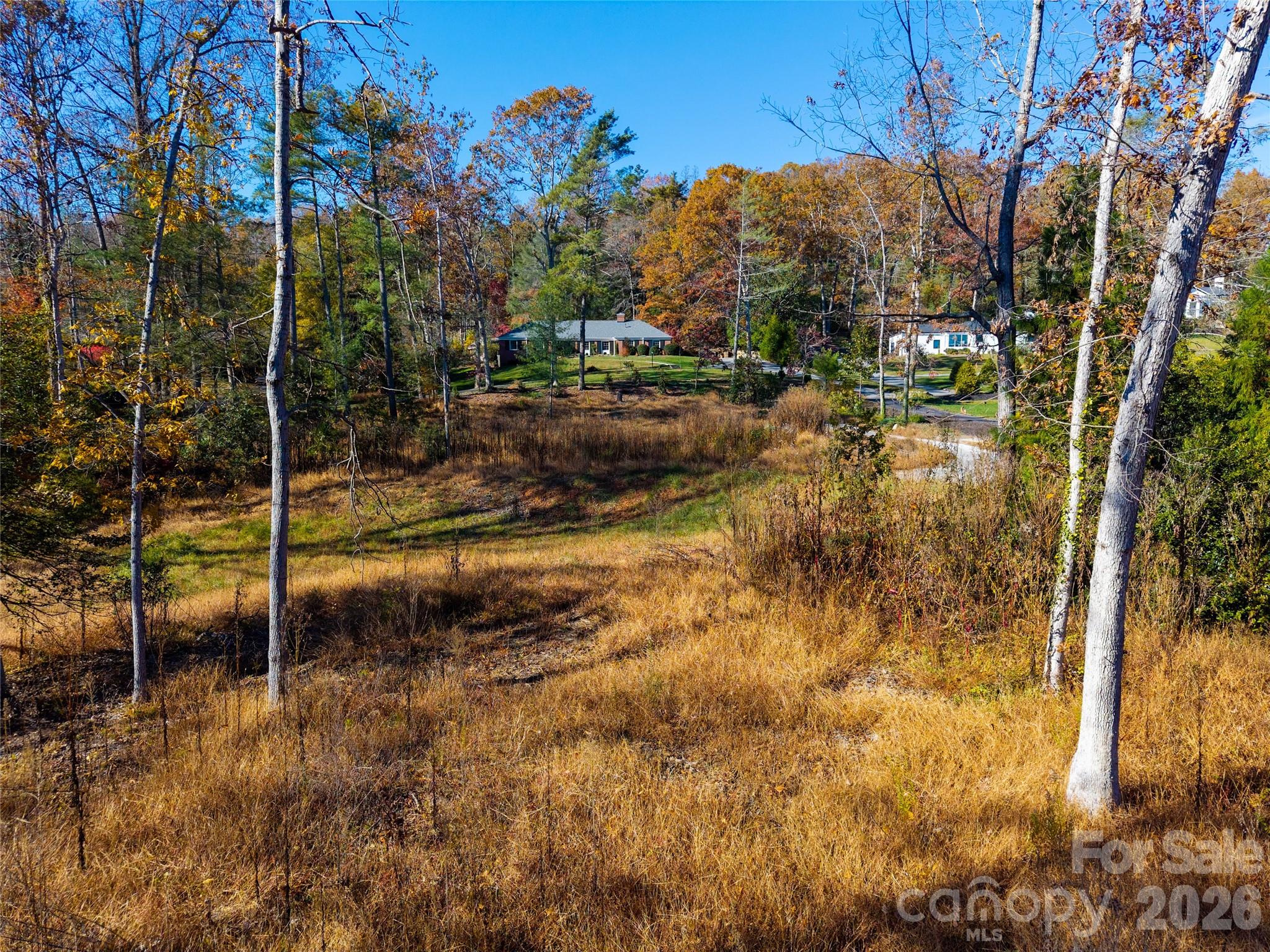 Biltmore Forest - Land