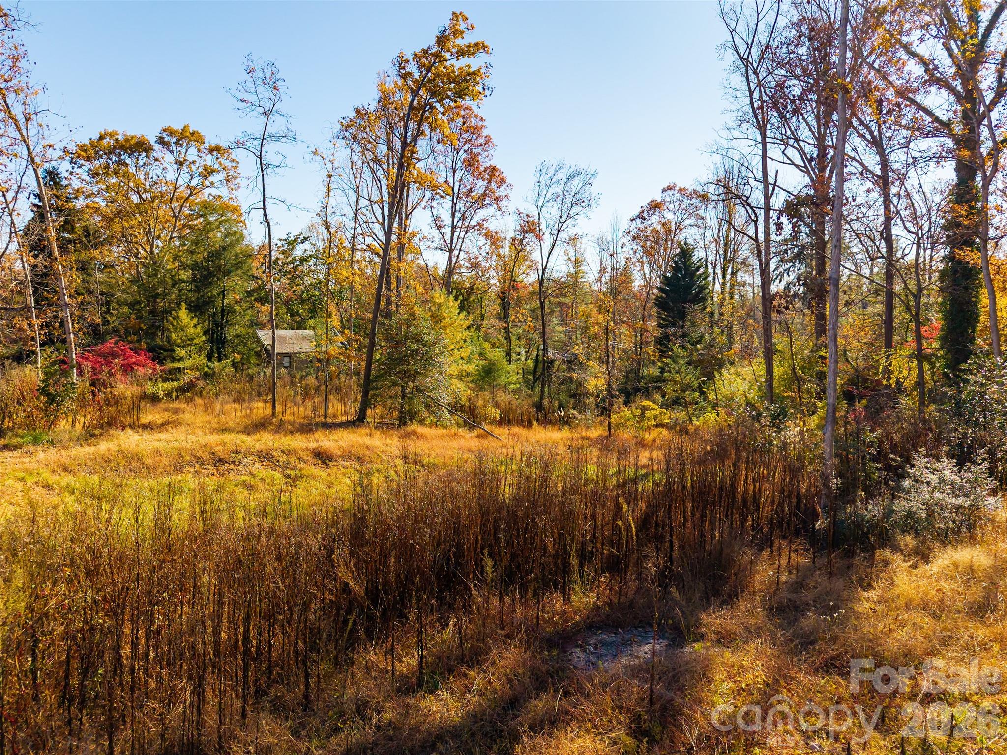 Biltmore Forest - Land