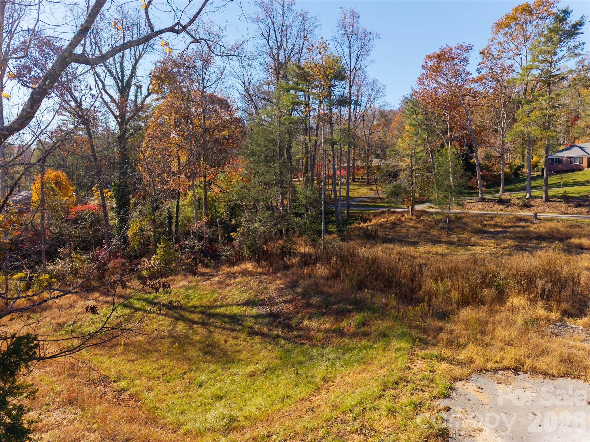 Biltmore Forest - Land