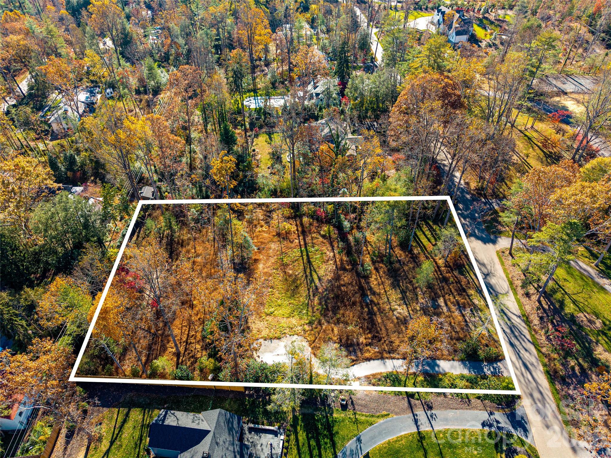 Biltmore Forest - Land