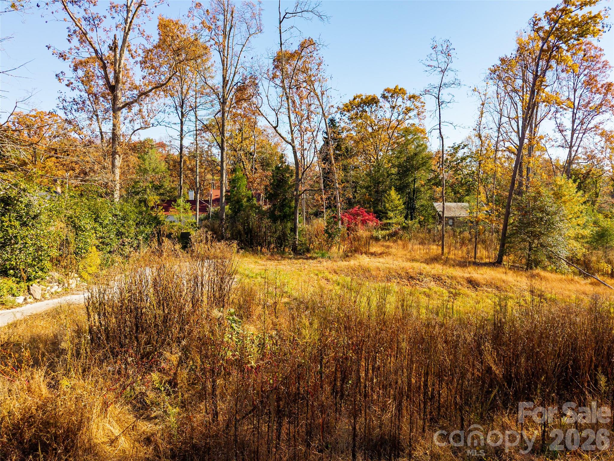 Biltmore Forest - Land