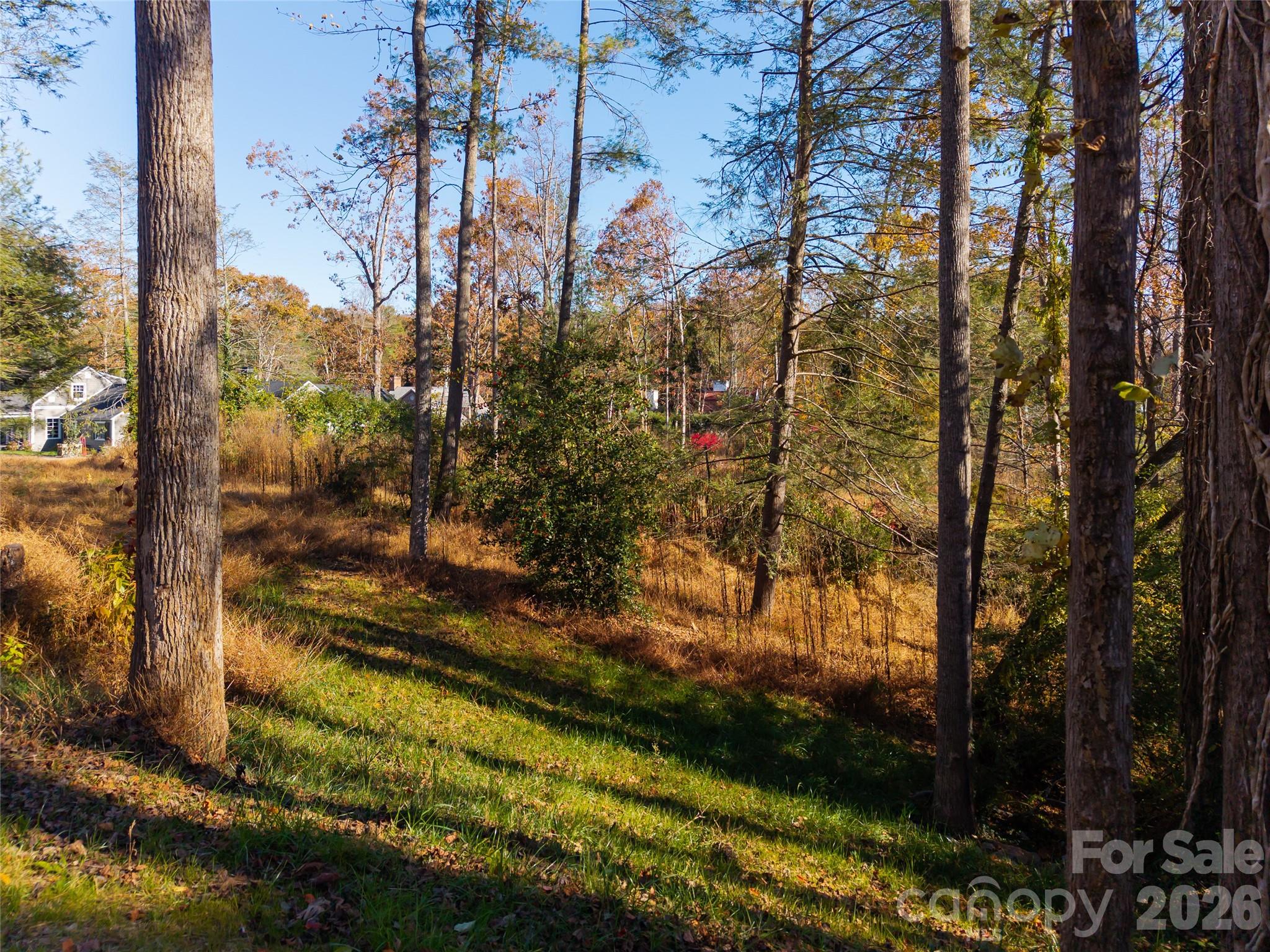 Biltmore Forest - Land
