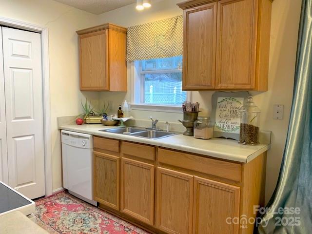 Camellia Corners - Residential Lease