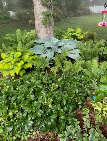 Olde Mill Landing - Residential