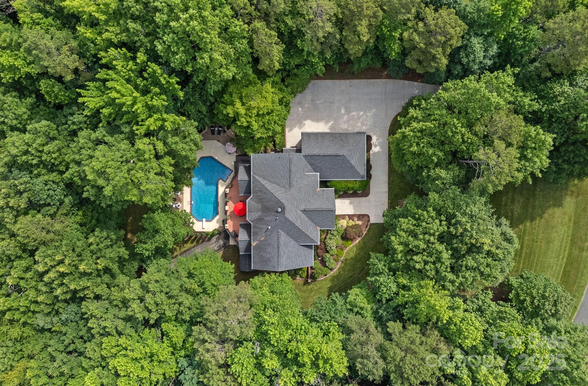 1317 Longleaf Court