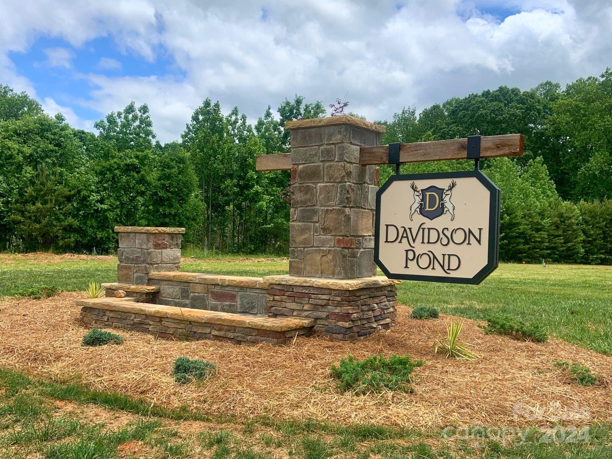 Davidson Pond - Land