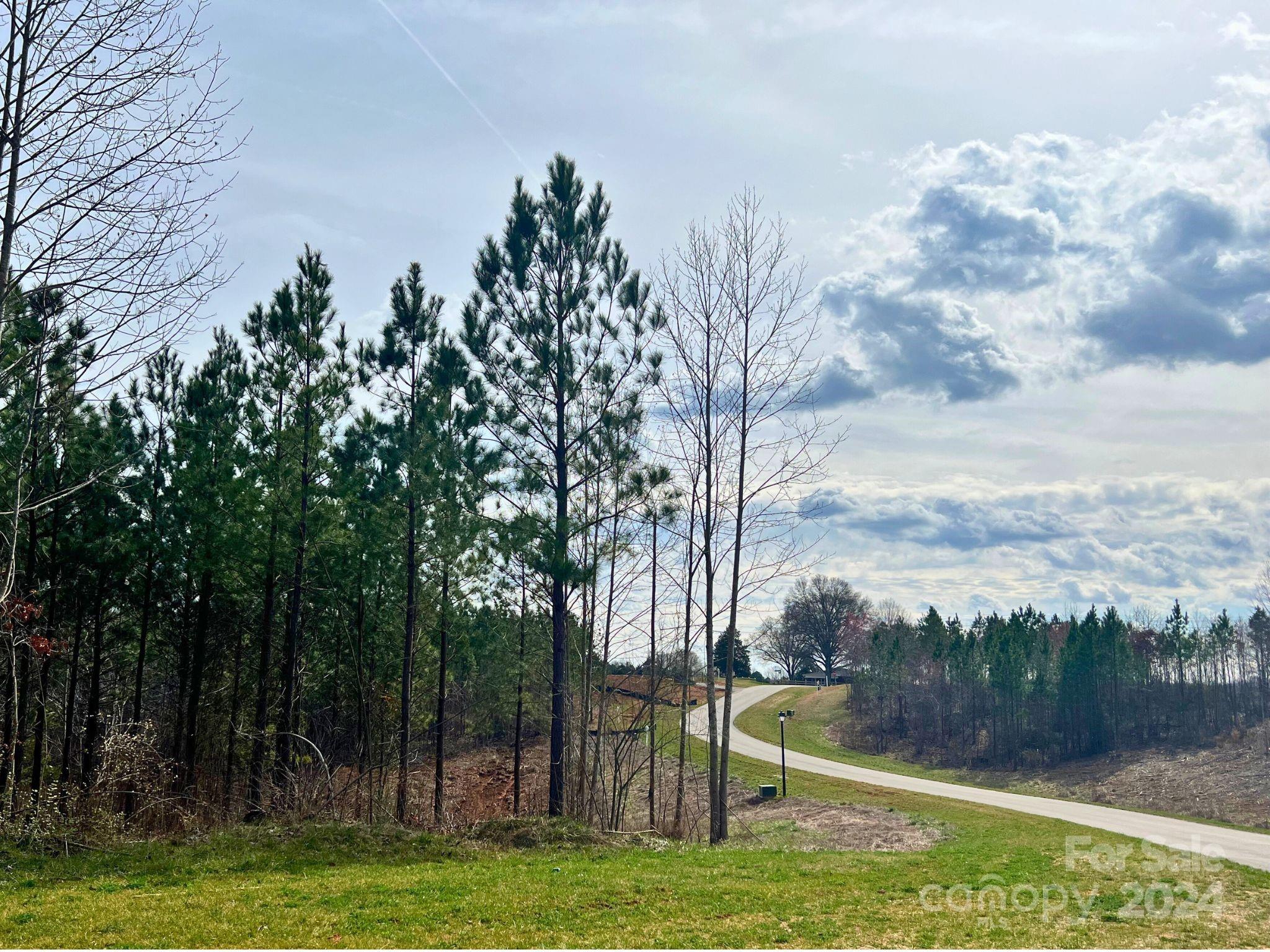 Davidson Pond - Land