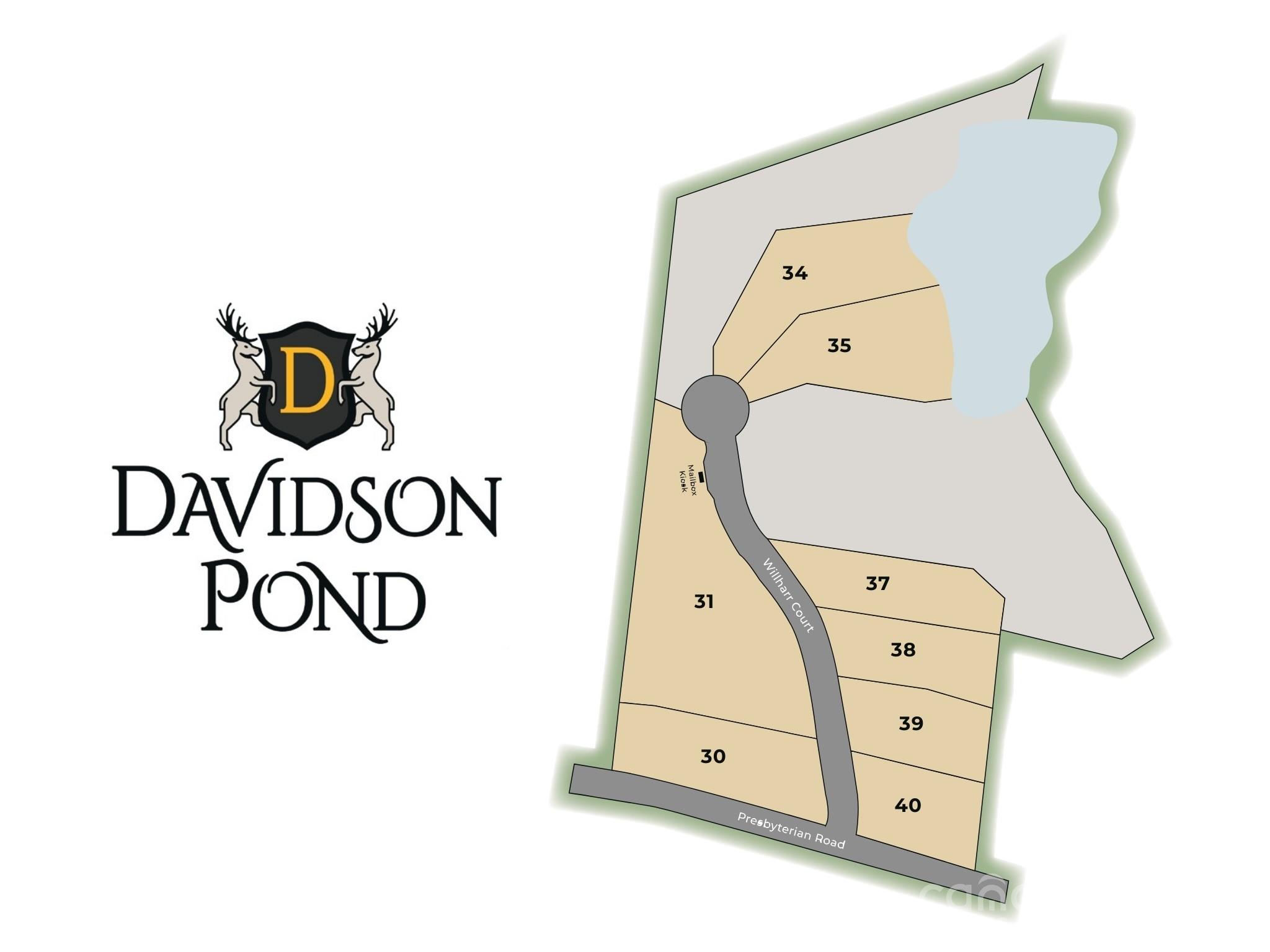 Davidson Pond - Land
